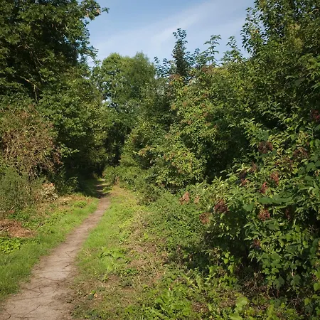 Les Du Champ Des Oiseaux Saint-Amand-les-Eaux